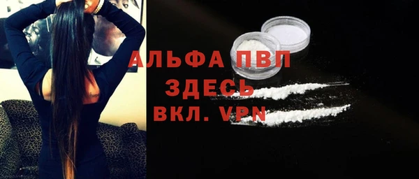 индика Апатиты