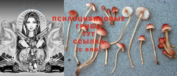 кокаин колумбия Анива